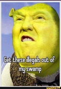 Trump Swamp
